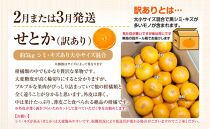 【定期便全3回】訳あり さぬき市冬のフルーツ厳選定期便 (小原紅早生みかん しらぬひ せとか)【旬 人気 果物 くだもの 柑橘 規格外 香川県 さぬき市】