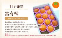 【定期便全4回】さぬき市冬のフルーツ厳選定期便【旬 人気 果物 くだもの 香川県 さぬき市】