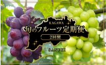 【定期便全2回】旬のフルーツ定期便(ニューピオーネ シャインマスカット)【旬 人気 果物 くだもの 香川県 さぬき市】