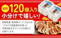 ぎょうざの満洲&nbsp;冷凍生餃子10パック(120個)