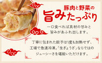 ぎょうざの満洲&nbsp;冷凍生餃子10パック(120個)