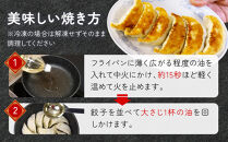 ぎょうざの満洲&nbsp;冷凍生餃子10パック(120個)