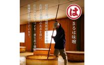 博多もつ鍋セット(九州味噌仕立て) 2～3人前 B089R