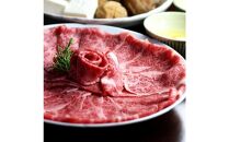 【定期便6回コース】博多の名物「国産牛 上ホルモン もつ鍋」と「博多和牛スライス」T102R