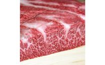 【定期便6回コース】博多の名物「国産牛 上ホルモン もつ鍋」と「博多和牛スライス」T102R