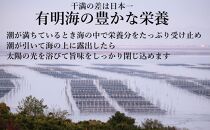 訳あり 焼き海苔 福岡有明のり 合計104枚(2切8枚×13袋) 【有明海産】