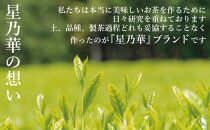 訳あり品 八女星野茶 深蒸し茶1100g【八女茶】