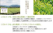 訳あり品 八女星野茶 深蒸し茶1100g【八女茶】