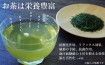 訳あり品 八女星野茶 深蒸し茶1100g【八女茶】