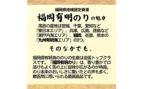 乾海苔 全形50枚 昔懐かしい磯の風味が強い焼く前の板海苔【福岡有明のり】