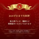 【山本勝之助商店】5玉 長柄 皮巻き 棕櫚ほうき