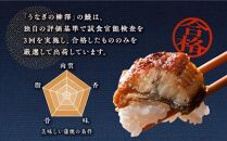 数量限定　うなぎの柳澤　うなぎ蒲焼2尾（計320g）