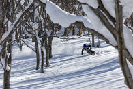 舞子スノーリゾート&nbsp;25ー26シーズンリフト1日引換券(大人1名様分)