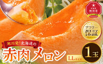 【26年発送先行予約】北海道産&nbsp;赤肉メロン&nbsp;LLサイズ&nbsp;1玉（計2.0kg以上）2026年6月下旬から発送開始予定&nbsp;【&nbsp;果物&nbsp;くだもの&nbsp;フルーツ&nbsp;メロン&nbsp;赤肉&nbsp;赤肉メロン&nbsp;旬&nbsp;お取り寄せ&nbsp;甘い&nbsp;北海道産&nbsp;旭川市&nbsp;北海道&nbsp;】_04564