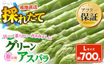 春収穫グリーンアスパラ&nbsp;Lサイズ&nbsp;700g（2026年6月上旬から発送開始予定）【&nbsp;アスパラ&nbsp;アスパラガス&nbsp;朝採り&nbsp;とれたて&nbsp;野菜&nbsp;旬&nbsp;小分け&nbsp;保存&nbsp;産直&nbsp;産地直送&nbsp;お取り寄せ&nbsp;旭川市&nbsp;北海道&nbsp;】_04558