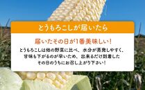 【先行予約】白いとうもろこしピュアホワイト 8本 2.4kg(2025年8月下旬～発送開始予定)【 人気 北海道産 糖度 生 野菜 スイートコーン 産地直送 バーベキュー BBQ コーン 旬 お取り寄せ 旭川市 北海道 送料無料 】_04559