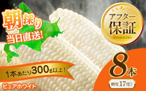 【2026年先行予約】白いとうもろこしピュアホワイト&nbsp;8本&nbsp;2.4kg（2026年8月下旬から発送開始予定）【&nbsp;人気&nbsp;北海道産&nbsp;糖度&nbsp;生&nbsp;野菜&nbsp;スイートコーン&nbsp;産地直送&nbsp;バーベキュー&nbsp;BBQ&nbsp;コーン&nbsp;旬&nbsp;お取り寄せ&nbsp;旭川市&nbsp;北海道&nbsp;送料無料&nbsp;】_04559