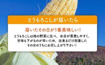 【先行予約】黄金色で大粒 ゴールドラッシュ 8本 3.2kg (2025年8月下旬～発送開始予定)【 人気 北海道産 糖度 生 野菜 スイートコーン 産地直送 バーベキュー BBQ コーン 旬 お取り寄せ 旭川市 北海道 送料無料 】_04560