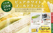 【2026年先行予約】とうもろこしコラボセット!　ピュアホワイト4本×ゴールドラッシュ4本（2026年8月下旬から発送開始予定）【&nbsp;白いとうもろこし&nbsp;人気&nbsp;北海道産&nbsp;糖度&nbsp;生&nbsp;野菜&nbsp;スイートコーン&nbsp;産地直送&nbsp;バーベキュー&nbsp;BBQ&nbsp;コーン&nbsp;旬&nbsp;お取り寄せ&nbsp;旭川市&nbsp;北海道&nbsp;】_04561