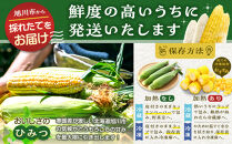 【2026年先行予約】とうもろこしコラボセット!　ピュアホワイト4本×ゴールドラッシュ4本（2026年8月下旬から発送開始予定）【&nbsp;白いとうもろこし&nbsp;人気&nbsp;北海道産&nbsp;糖度&nbsp;生&nbsp;野菜&nbsp;スイートコーン&nbsp;産地直送&nbsp;バーベキュー&nbsp;BBQ&nbsp;コーン&nbsp;旬&nbsp;お取り寄せ&nbsp;旭川市&nbsp;北海道&nbsp;】_04561