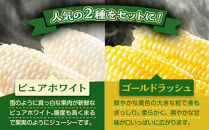 【2026年先行予約】とうもろこしコラボセット!　ピュアホワイト4本×ゴールドラッシュ4本（2026年8月下旬から発送開始予定）【&nbsp;白いとうもろこし&nbsp;人気&nbsp;北海道産&nbsp;糖度&nbsp;生&nbsp;野菜&nbsp;スイートコーン&nbsp;産地直送&nbsp;バーベキュー&nbsp;BBQ&nbsp;コーン&nbsp;旬&nbsp;お取り寄せ&nbsp;旭川市&nbsp;北海道&nbsp;】_04561