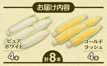 【2026年先行予約】とうもろこしコラボセット!　ピュアホワイト4本×ゴールドラッシュ4本（2026年8月下旬から発送開始予定）【&nbsp;白いとうもろこし&nbsp;人気&nbsp;北海道産&nbsp;糖度&nbsp;生&nbsp;野菜&nbsp;スイートコーン&nbsp;産地直送&nbsp;バーベキュー&nbsp;BBQ&nbsp;コーン&nbsp;旬&nbsp;お取り寄せ&nbsp;旭川市&nbsp;北海道&nbsp;】_04561
