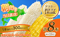 【2026年先行予約】とうもろこしコラボセット!　ピュアホワイト4本×ゴールドラッシュ4本（2026年8月下旬から発送開始予定）【&nbsp;白いとうもろこし&nbsp;人気&nbsp;北海道産&nbsp;糖度&nbsp;生&nbsp;野菜&nbsp;スイートコーン&nbsp;産地直送&nbsp;バーベキュー&nbsp;BBQ&nbsp;コーン&nbsp;旬&nbsp;お取り寄せ&nbsp;旭川市&nbsp;北海道&nbsp;】_04561