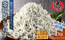 釜揚げ しらす(訳あり)1.0kg(200g×5P)【12月発送予定】