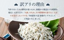 釜揚げ しらす(訳あり)1.0kg(200g×5P)【12月発送予定】