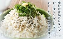 釜揚げ しらす(訳あり)1.0kg(200g×5P)【12月発送予定】