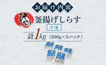 釜揚げ しらす(訳あり)1.0kg(200g×5P)【12月発送予定】