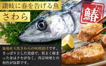 さわら 西京味噌漬け 6切れ【小分け セット 鰆 西京味噌 冷凍 国産 香川県 さぬき】
