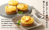 低糖質NYチーズケーキ　4個セット