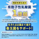 便通を改善する 乳酸菌サプリメント ラクトデル 機能性表示食品 30日分