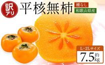 和歌山県産 訳あり 平核無柿 7.5kg L ~ 2L サイズ たねなし柿 種無し柿 ご家庭用 選果場 直送 2024年10月上旬～発送