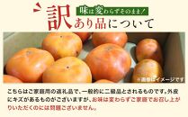 和歌山県産 訳あり 平核無柿 7.5kg L ~ 2L サイズ たねなし柿 種無し柿 ご家庭用 選果場 直送 2024年10月上旬～発送