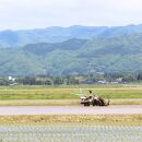 【無洗米】「環境にやさしい」新潟県佐渡産コシヒカリ10kg(栽培期間中農薬不使用)