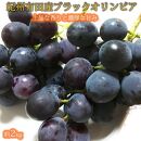 紀州有田産 ブラックオリンピア (ハチミツぶどう) 約2kg【2025年8月15日〜2025年9月10日発送予定】【UT107】