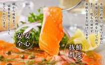 ＼国産 サーモン／ 琴浦 グランサーモン 約1kg ( 500g × 2p ) フィレ 養殖サーモン 陸上養殖 生サーモン 魚 海鮮魚介 ふるさと納税 鮭 サケ 鮮度抜群 人気 おすすめ 鳥取 グルメ 真空パック 冷蔵 ふるさと サーモン