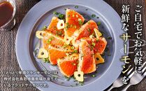 ＼国産&nbsp;サーモン／&nbsp;琴浦&nbsp;グランサーモン&nbsp;約1kg&nbsp;(&nbsp;500g&nbsp;×&nbsp;2p&nbsp;)&nbsp;フィレ&nbsp;養殖サーモン&nbsp;陸上養殖&nbsp;生サーモン&nbsp;魚&nbsp;海鮮魚介&nbsp;ふるさと納税&nbsp;鮭&nbsp;サケ&nbsp;鮮度抜群&nbsp;人気&nbsp;おすすめ&nbsp;鳥取&nbsp;グルメ&nbsp;真空パック&nbsp;冷蔵&nbsp;ふるさと&nbsp;サーモン