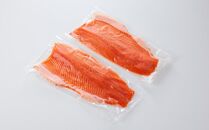 ＼国産&nbsp;サーモン／&nbsp;琴浦&nbsp;グランサーモン&nbsp;約1kg&nbsp;(&nbsp;500g&nbsp;×&nbsp;2p&nbsp;)&nbsp;フィレ&nbsp;養殖サーモン&nbsp;陸上養殖&nbsp;生サーモン&nbsp;魚&nbsp;海鮮魚介&nbsp;ふるさと納税&nbsp;鮭&nbsp;サケ&nbsp;鮮度抜群&nbsp;人気&nbsp;おすすめ&nbsp;鳥取&nbsp;グルメ&nbsp;真空パック&nbsp;冷蔵&nbsp;ふるさと&nbsp;サーモン