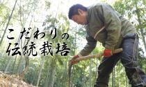 予約受付【筍農家】京都産 朝堀り湯がきたけのこ 優秀品 1KG(3-5本)皮なし