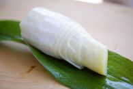 予約受付【筍農家】京都産 朝堀りたけのこ 優秀品　2KG（2-5本）