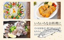 さわら 塩たたき 500g 冷凍 小分け【サワラ 鰆 たたき さわら塩たたき サワラ塩たたき 鰆塩たたき おつまみ 魚 さかな 国産 香川県 さぬき市 讃岐 さぬき】