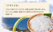 いか糸つくり 1kg 冷凍 小分け【いか イカ イカ刺身 刺身 いかそーめん イカソーメン 香川県 さぬき市 讃岐 さぬき】