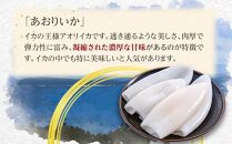 あおりいか三昧セット むき身500g (インド産) いかそ～めん200g ゲソ(加熱用) 200g 冷凍 小分け【あおりいか いか イカ 刺身  いかそーめん 香川県 さぬき市 讃岐 さぬき】