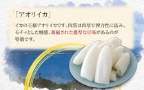 むき身あおりいか 約500g(3～5尾入り) 下処理済 冷凍 小分け【水イカ アオリイカ いか イカ イカ刺身 刺身 いかソーメン 天ぷら 香川県 さぬき市 讃岐 さぬき】