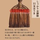 【山本勝之助商店】11玉 長柄 皮巻き 棕櫚ほうき