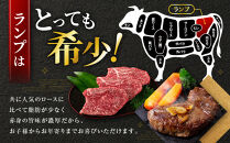 ステーキ&nbsp;牛肉&nbsp;国産&nbsp;牛&nbsp;ランプ&nbsp;ステーキ計約2.6kg(130g×20枚)&nbsp;セット&nbsp;ソース付&nbsp;希少