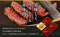 ステーキ&nbsp;牛肉&nbsp;国産&nbsp;牛&nbsp;ランプ&nbsp;ステーキ計約2.6kg(130g×20枚)&nbsp;セット&nbsp;ソース付&nbsp;希少